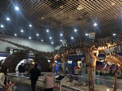 -国家自然博物馆