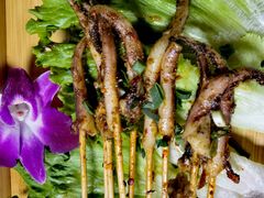 -山野的朋友露营炭火烤肉