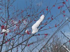 -洋湖国家湿地公园