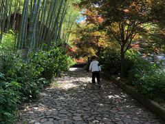 -宁波浙东大竹海景区