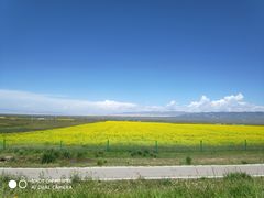 -青海湖国家重点风景名胜区