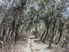 -元大都城垣遗址公园