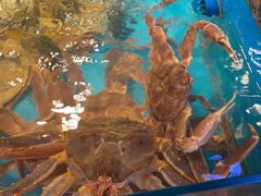 -拉完海鲜大排档(温岭店)