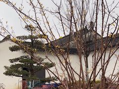 -青果巷历史文化街区
