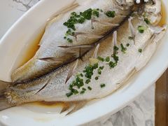 清蒸白鱼-蟹天蟹地农家菜·阳澄湖大闸蟹(浅水湾店)