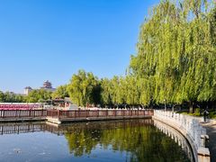 -莲花池公园