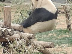 -五龙山野生动物王国