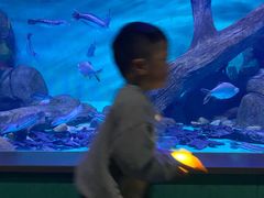 -常州海昌海洋探索馆