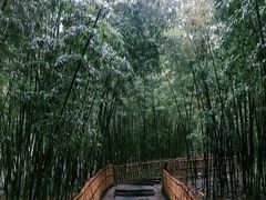 -乌镇东栅景区