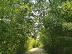 -竹泉村旅游度假区