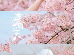 -上海辰山植物园