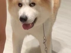 -YCHL Studios健身工作室(市二宫店)