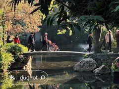 -广州兰圃