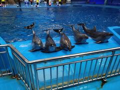 -多彩贵州城极地海洋世界