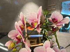 -施奈儿.洗头頭療.按摩SPA.采耳(上梅林店)