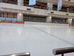 -冰纷万象滑冰场(二七万象城店)