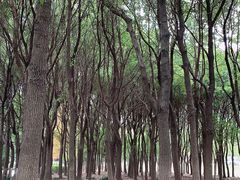 -自然谷恐龙园