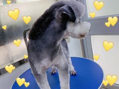 -佳雯宠物医院(金华南路分院)