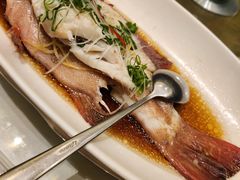 -骏莱海鲜鱼港(五角场店)