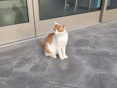 -上海电影博物馆