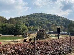 -杭州野生动物世界
