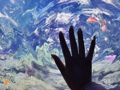 -海合安青岛极地海洋公园