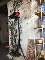 -HG美发设计沙龙