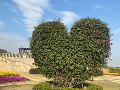 -东莞植物园