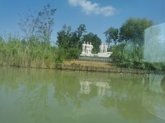 -泗洪洪泽湖湿地景区