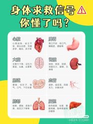 -香薇妮丝女子减肥院