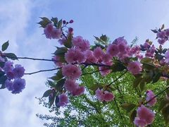 -森林公园(尖草坪区)