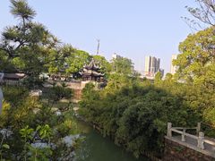 -八大山人梅湖景区