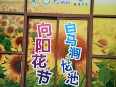 -白马涧龙池景区