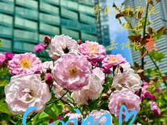 -公平路渡口(轮渡站)