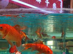 -辣得叫湘菜(四明店)