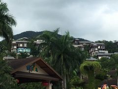 -呀诺达热带雨林
