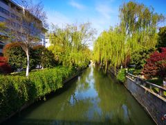 -大叔家福鼎小吃(十全街店)