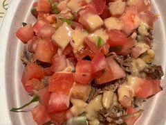 -油梨树 AVOCADO TREE(亮马桥店)