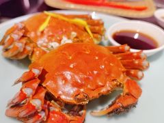 清蒸大闸蟹-蟹榭·本帮江浙菜·蟹宴(五角场合生汇商场店)