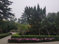 -莲湖公园