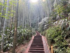 -蜀南竹海景区