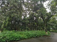 -张坝桂圆林公园