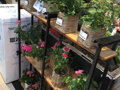 -盒马鲜生(莱蒙都会店)