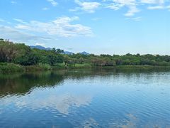 -飞来湖湿地公园