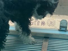 -FAELING PETS美天灵宠物(合生汇店)