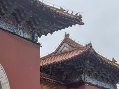 -北陵公园