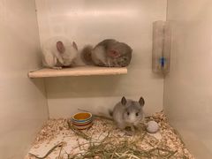 -龙猫仔乐园(惠福东路店)