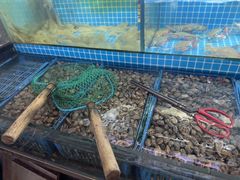 -老东镇啤酒屋海鲜加工·蒸汽海鲜·海鲜烧烤(台东店)