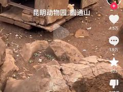 -昆明动物园