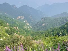 -灵山